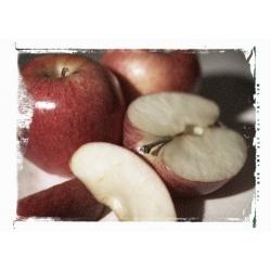 healthy-apple-recipes